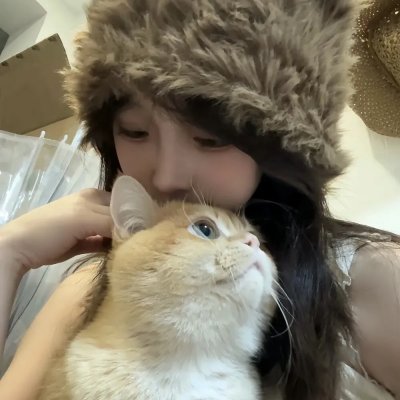 鼠洞里的好朋友